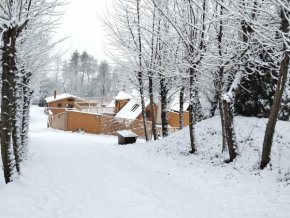 Chaty pod Sokolím Hřbetem, Česká Ves